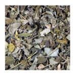 Чай трав’яний T-MASTER з листя Морінги (Морінга 100%), Індія